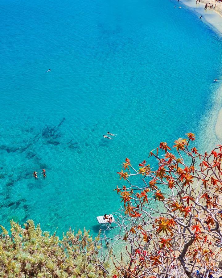 Domus Centro Tropea Otel Dış mekan fotoğraf